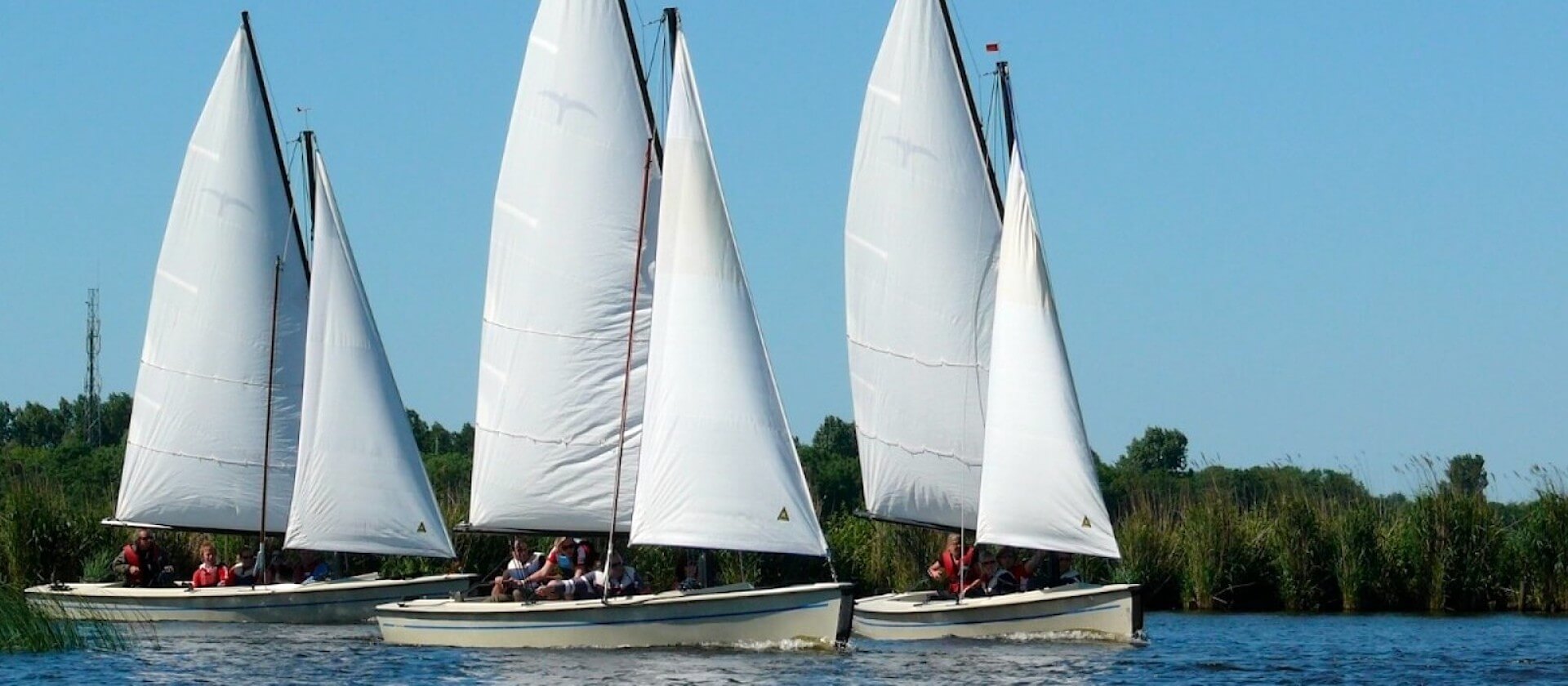 watergeus-regatta.jpg